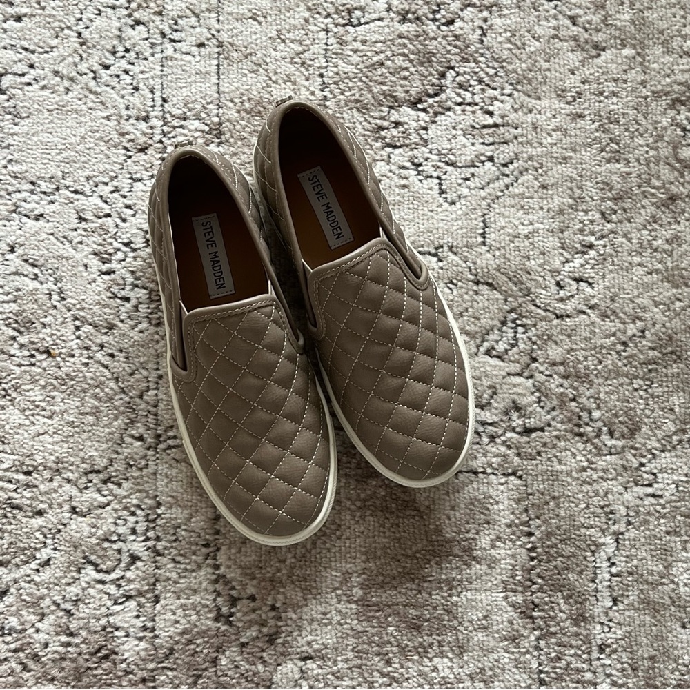 Steve Madden Ecentrcq in Grey